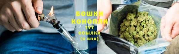 стаф Богородицк