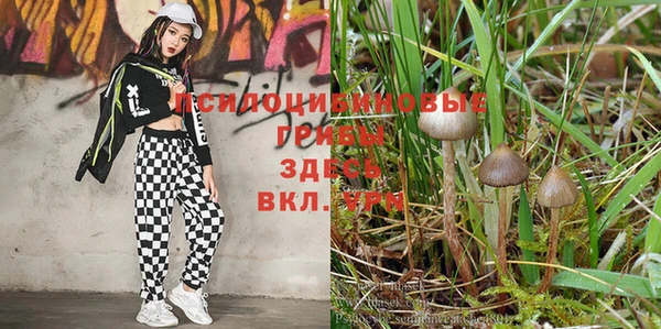 кокаин VHQ Богданович