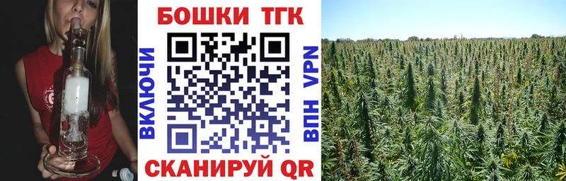 Каннабис сатива Севск